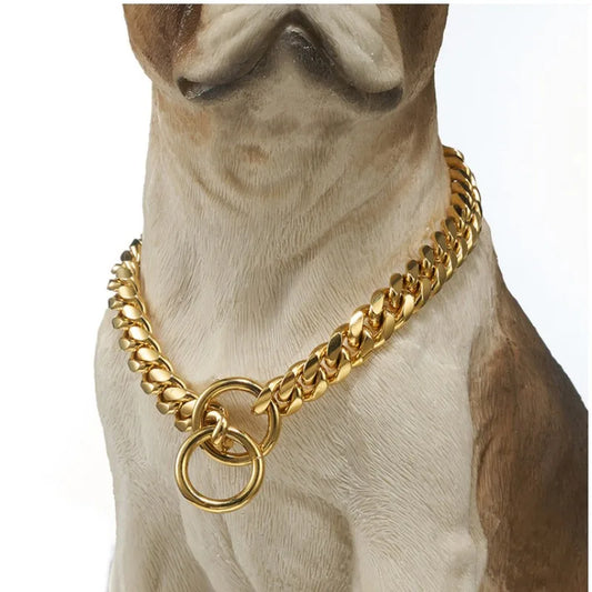 Collar de Lujo Dorado para Perros | Estilo Callejero con Clase