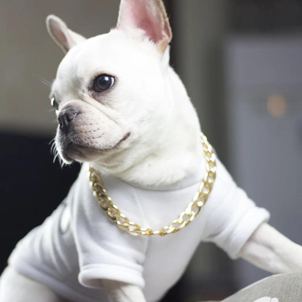 Collar de Lujo Dorado para Perros | Estilo Callejero con Clase