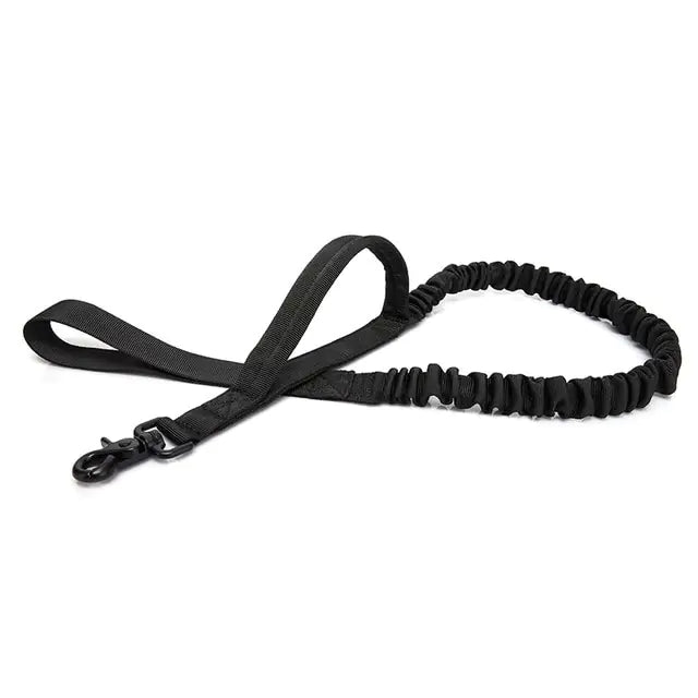 Correa para Perro con Hilo Reflectante