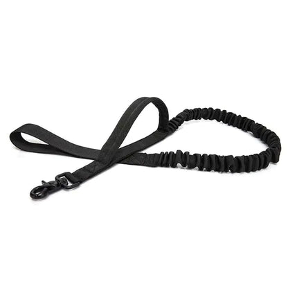 Correa para Perro con Hilo Reflectante