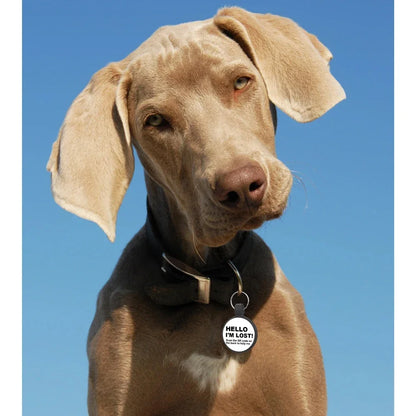 Etiqueta Inteligente con QR para Mascotas | ¡HELLO I´M LOST! + Alerta por Correo