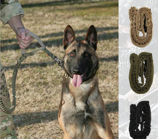 Correa para Perro con Hilo Reflectante