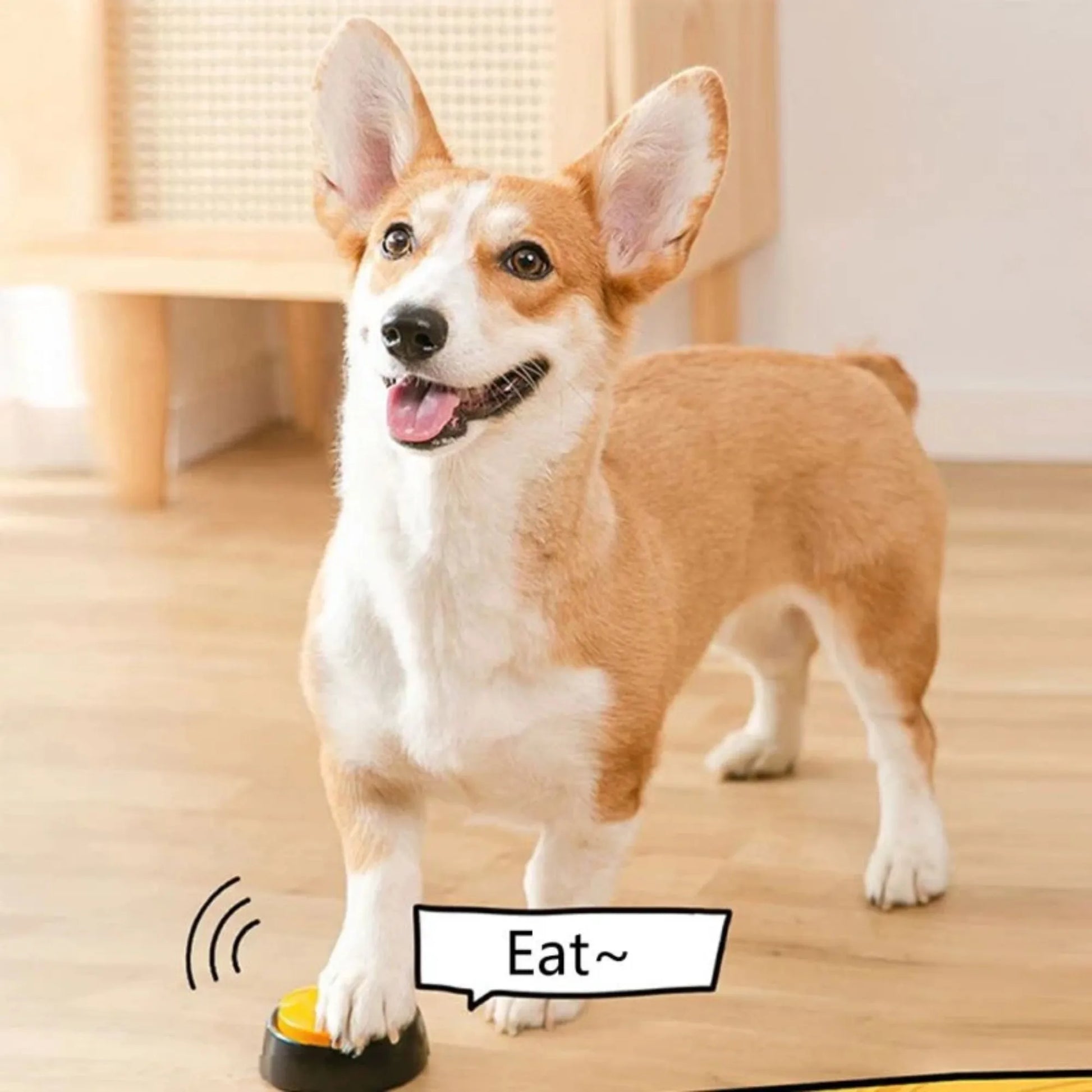 Botones Inteligentes para Perros - Enseñales a comunicar 