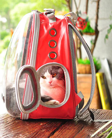 Mochila para Gatos Tipo Cápsula Espacial - Uso Exterior